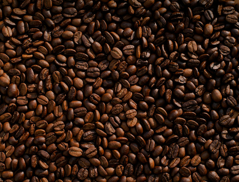 Freshly roasted coffee beans