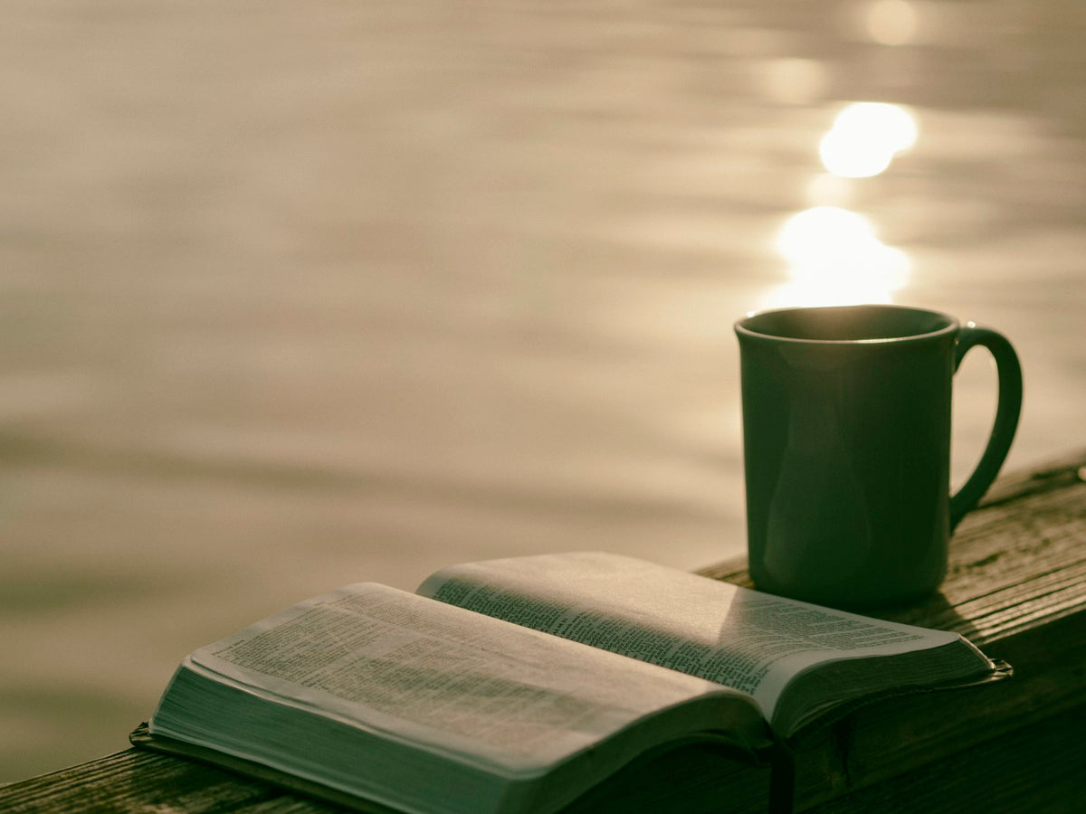 A mug beside an open book in quiet morning light