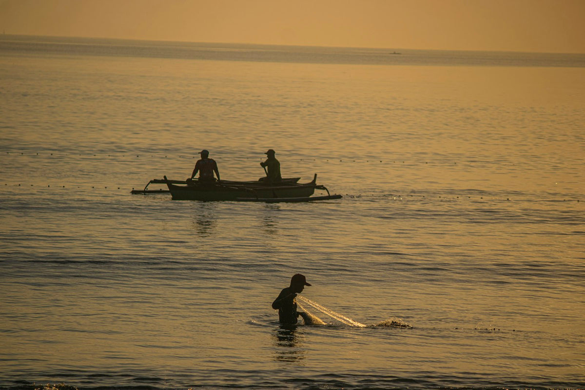 A person casting a fishing net in shallow water near a boat