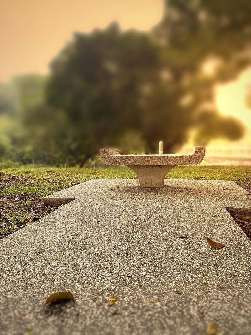 A stone table under an old tree at sunrise