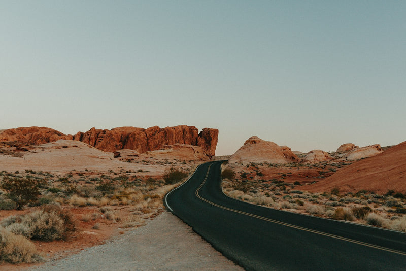 An empty road stretching through open wilderness