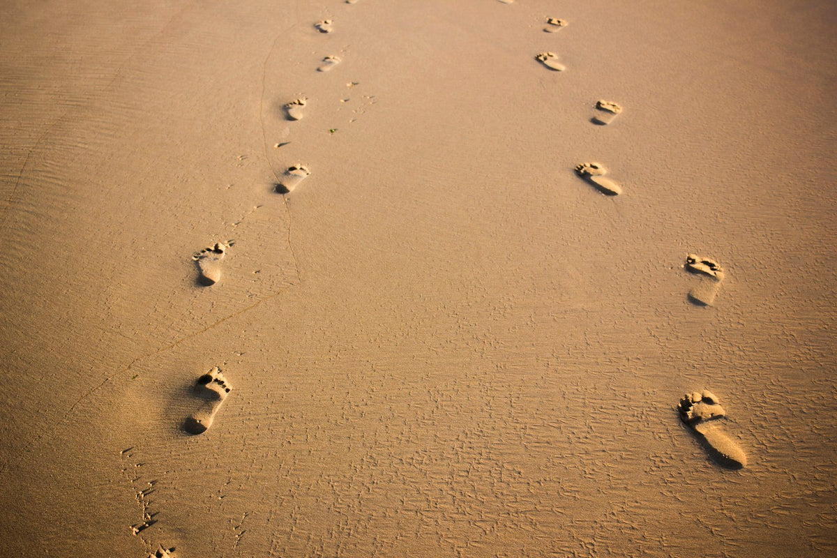 Footprints on brown sand