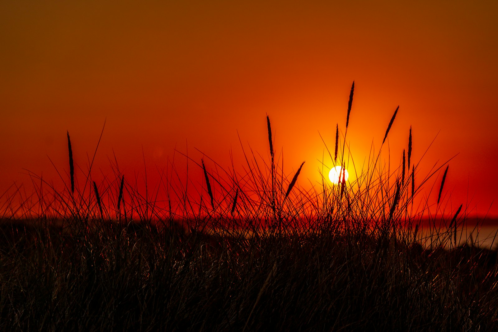 First light breaking over a horizon at sunrise