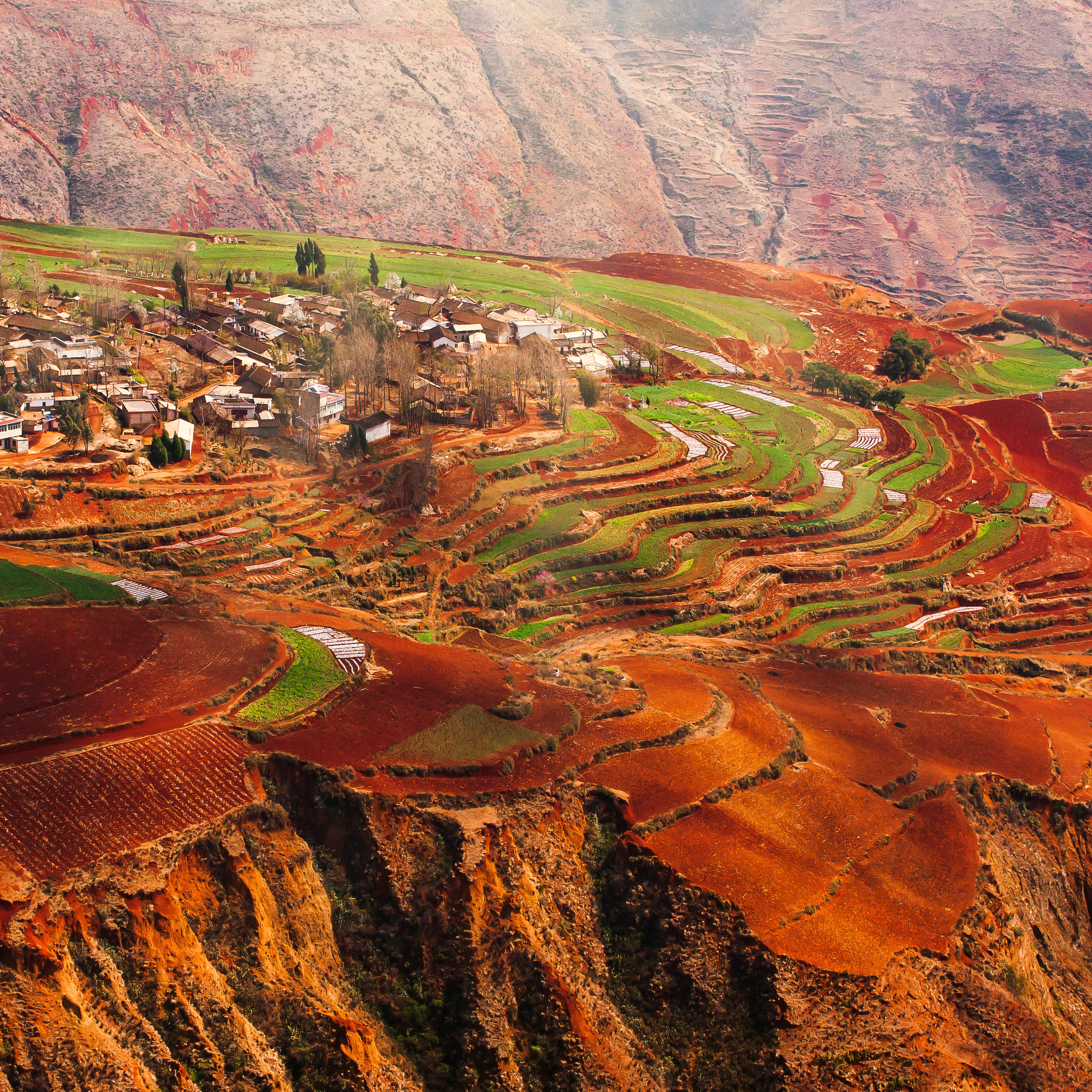 Terraced highlands of Yunnan, China — origin of TCE's anaerobic natural coffee